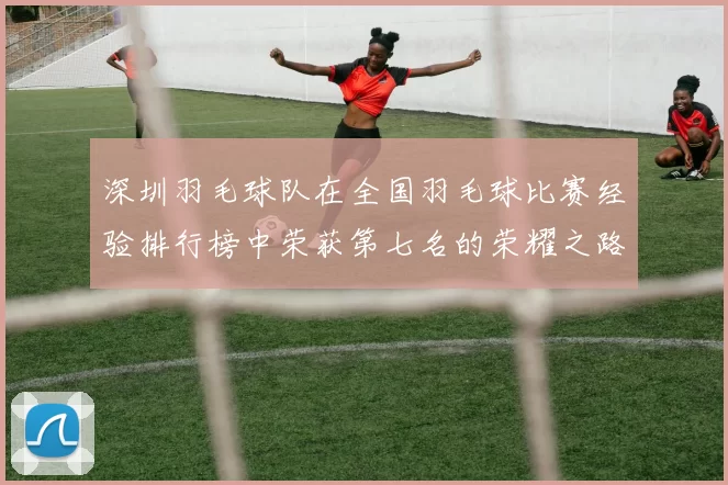 深圳羽毛球队在全国羽毛球比赛经验排行榜中荣获第七名的荣耀之路