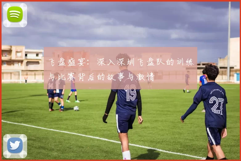 飞盘盛宴：深入深圳飞盘队的训练与比赛背后的故事与激情