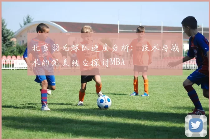 北京羽毛球队速度分析：技术与战术的完美结合探讨MBA