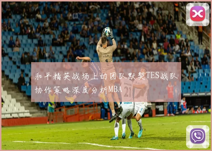 和平精英战场上的团队默契TES战队协作策略深度分析MBA