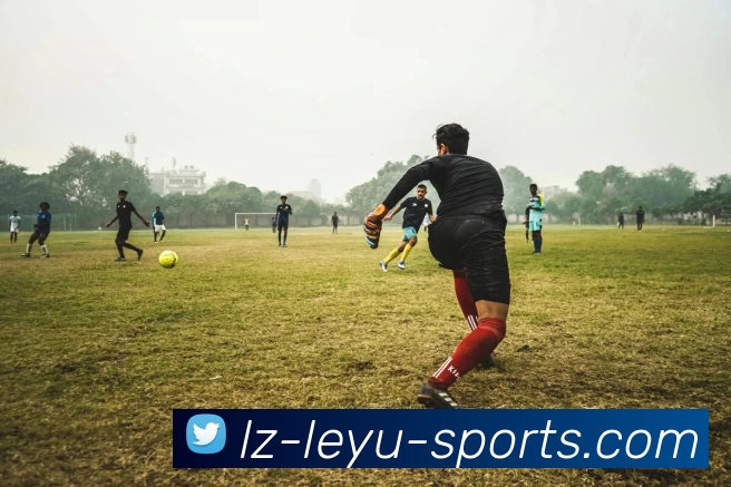 leyu官网品牌故事