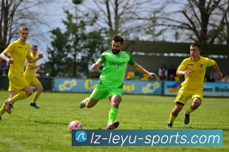 leyu官网服务体系